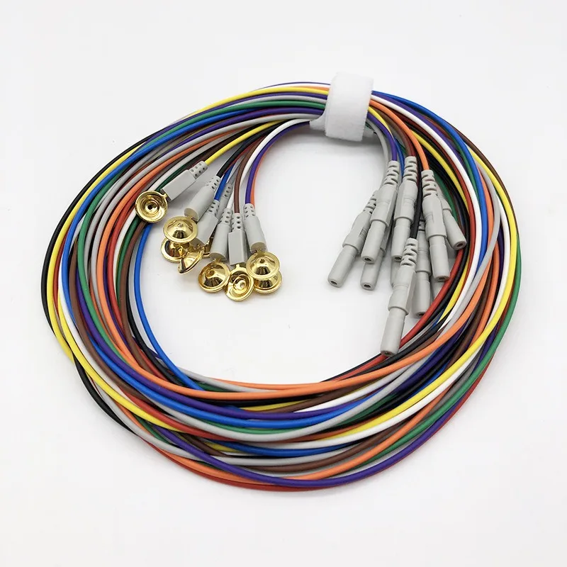 Compatible Brain Electrode Lead Wire Gold Disk Electrode Electromyoelectric
Compatible Brain Electrode Lead Wire Gold Disk Electrode Electromyoelectric