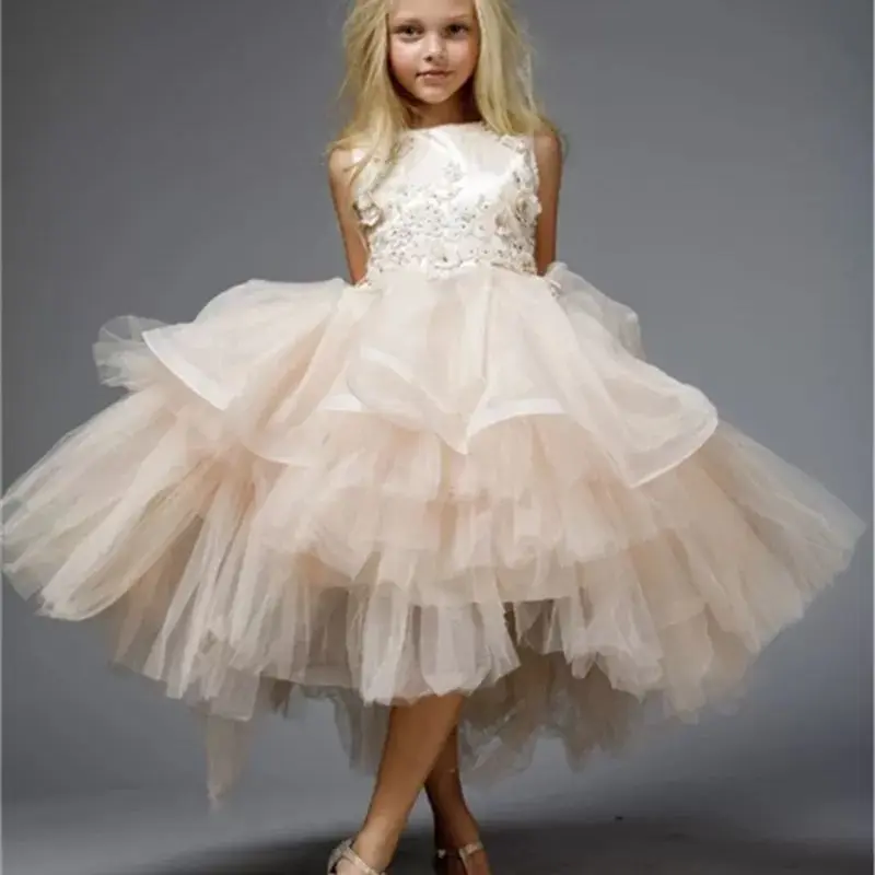 Puffy Glitter Tulle Feather Flower Girl Dress Kids Clothes Birthday Party Gowns for Girls
Puffy Glitter Tulle Feather Flower Girl Dress Kids Clothes Birthday Party Gowns for Girls