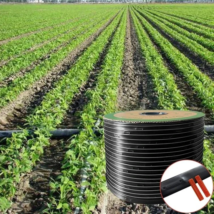 Hot Selling High Quality 1000 SQM Drip Irrigation Design Complete Kit for Farm Automatic Drip Irrigation System
Hot Selling High Quality 1000 SQM Drip Irrigation Design Complete Kit for Farm Automatic Drip Irrigation System