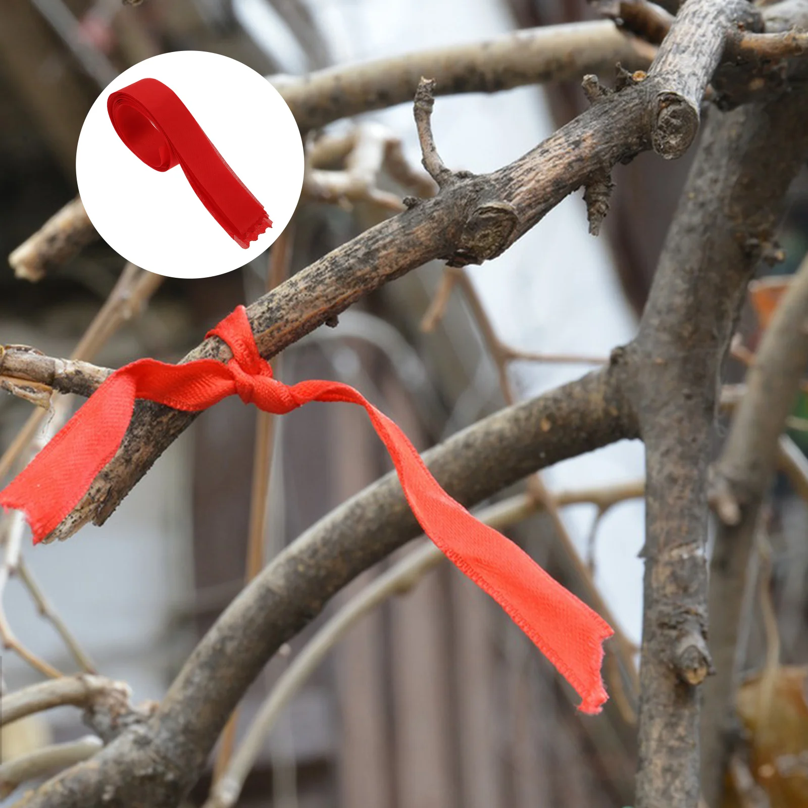 100Pcs Wishing Ribbon Red Satin Blank Strips DIY Crafts Weddings Blessing Ceremonies Outdoor Decorations Red Ribbon
100Pcs Wishing Ribbon Red Satin Blank Strips DIY Crafts Weddings Blessing Ceremonies Outdoor Decorations Red Ribbon