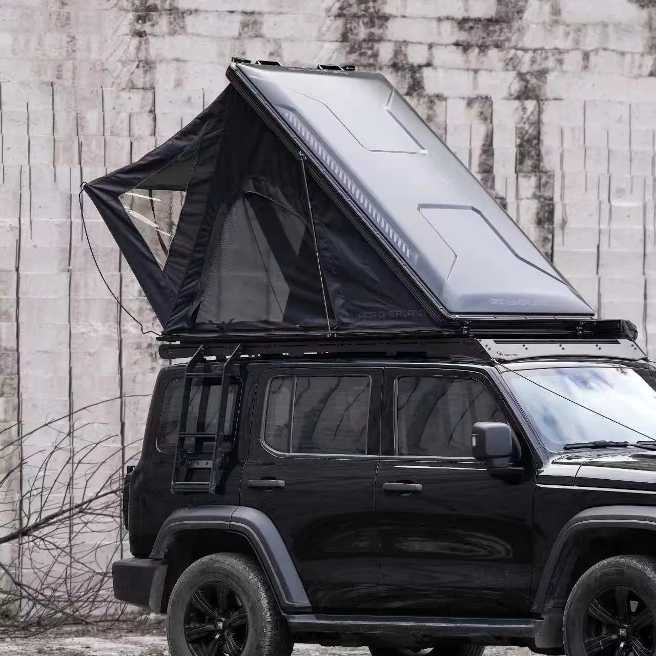 OVERLAND Fashion Design Light Weight ABS Shell Waterproof Triangle Roof Top Tent pop up Camping Car Tent
OVERLAND Fashion Design Light Weight ABS Shell Waterproof Triangle Roof Top Tent pop up Camping Car Tent