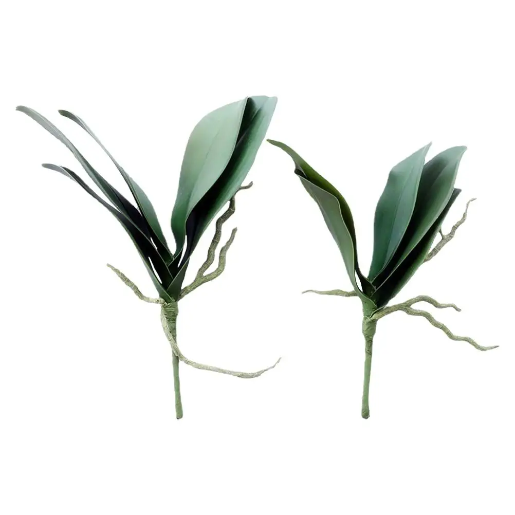 Faux Simulated Phalaenopsis Leaves Household Adornment Touch Fake Plant with Root Hair
Faux Simulated Phalaenopsis Leaves Household Adornment Touch Fake Plant with Root Hair