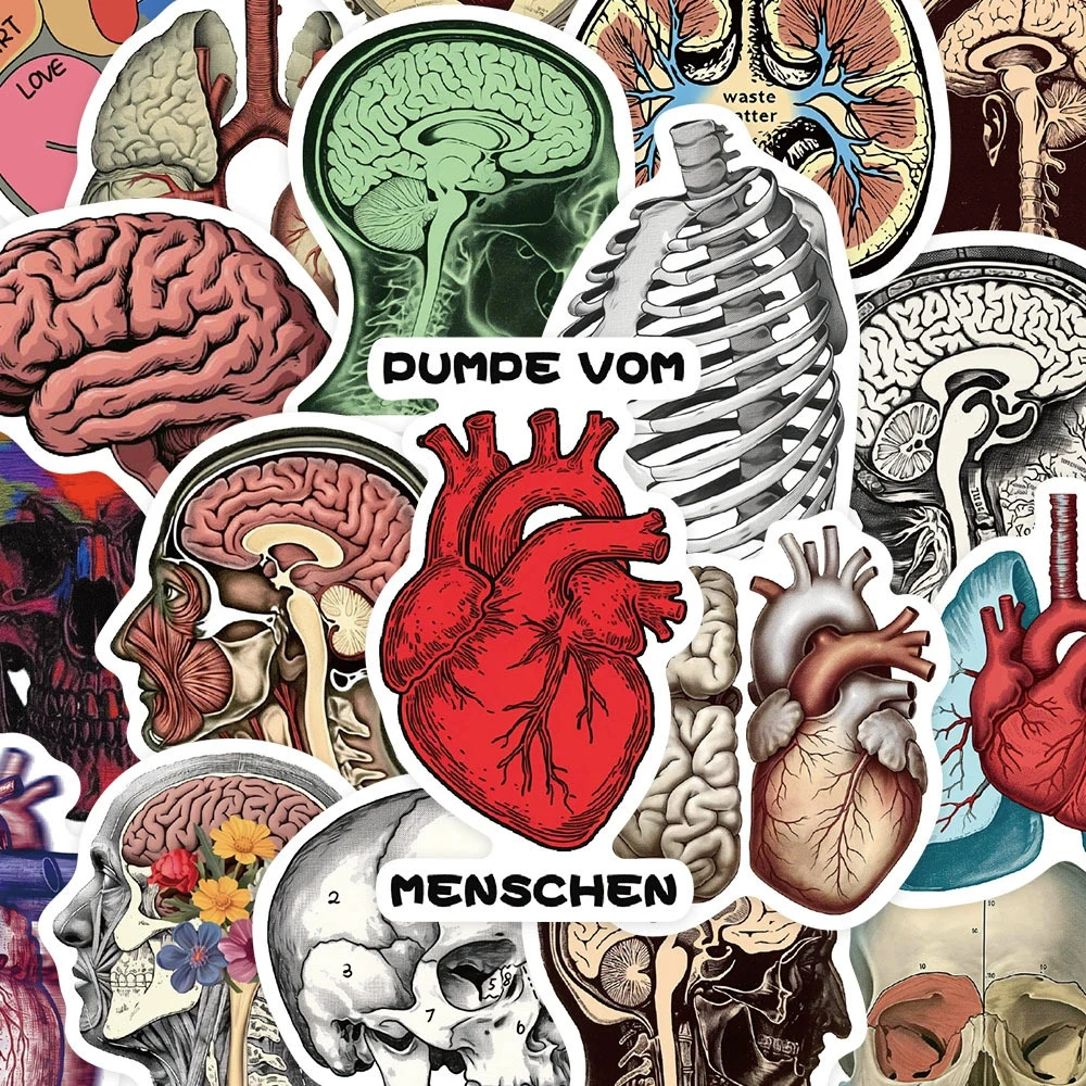 10/30/50pcs Retro Scientific Anatomy Stickers The Body Structure Decals DIY Stationery Laptop Notebook Cartoon Graffiti Sticker
10/30/50pcs Retro Scientific Anatomy Stickers The Body Structure Decals DIY Stationery Laptop Notebook Cartoon Graffiti Sticker