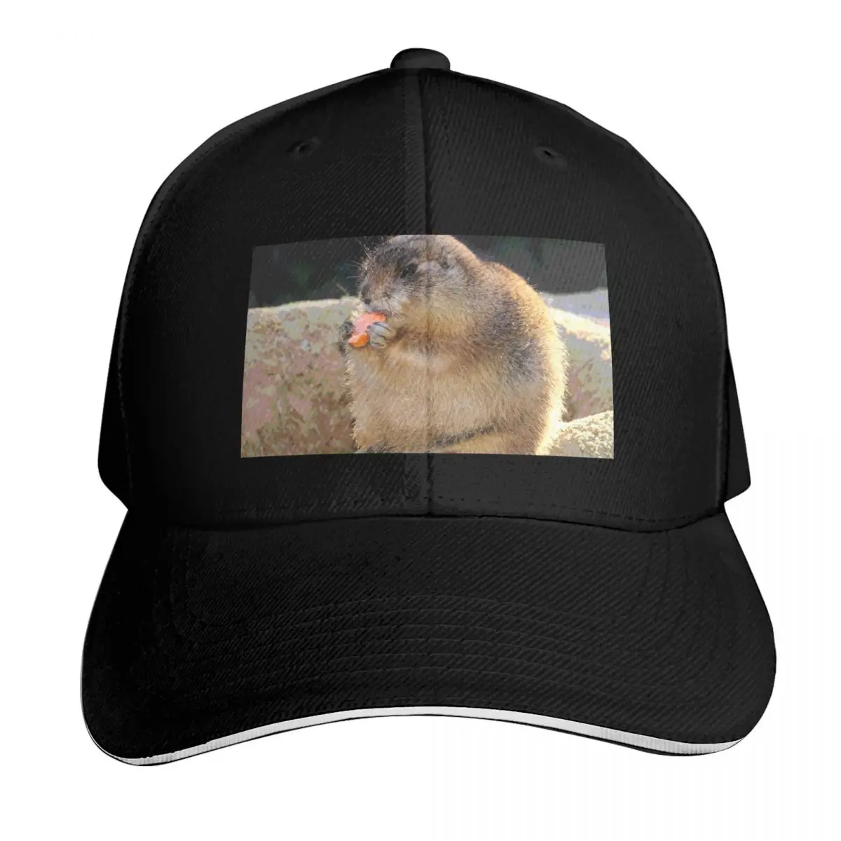 Prairie Dog #10 Baseball Cap Winter hat Trucker Cap party Hat Beach Hats For Women Men's
Prairie Dog #10 Baseball Cap Winter hat Trucker Cap party Hat Beach Hats For Women Men's