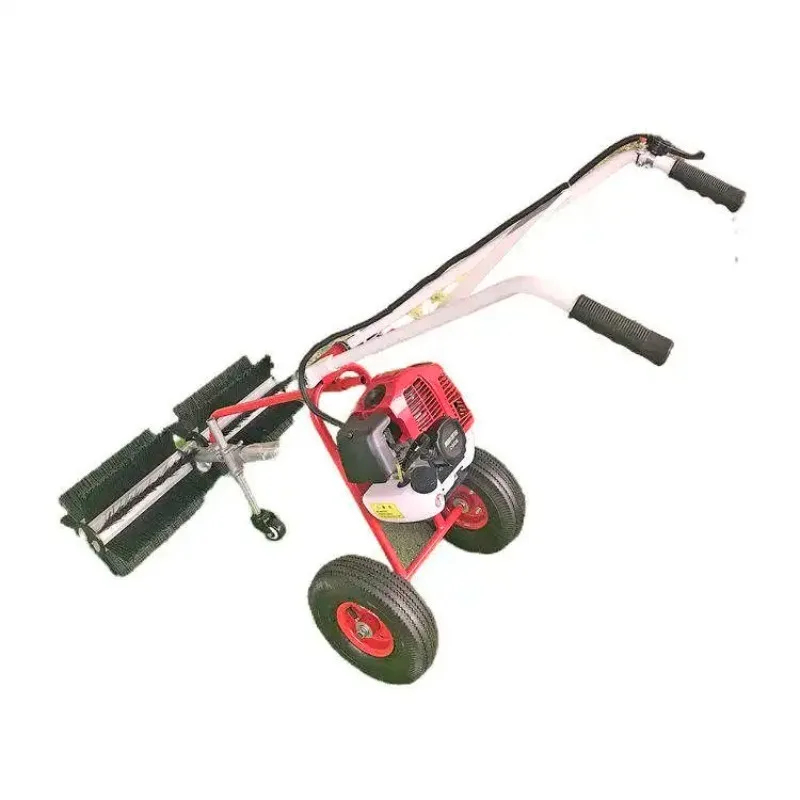 Hand-Held Two-Stroke Artificial Turf Groomer Push-Type Mini Sweeper
Hand-Held Two-Stroke Artificial Turf Groomer Push-Type Mini Sweeper