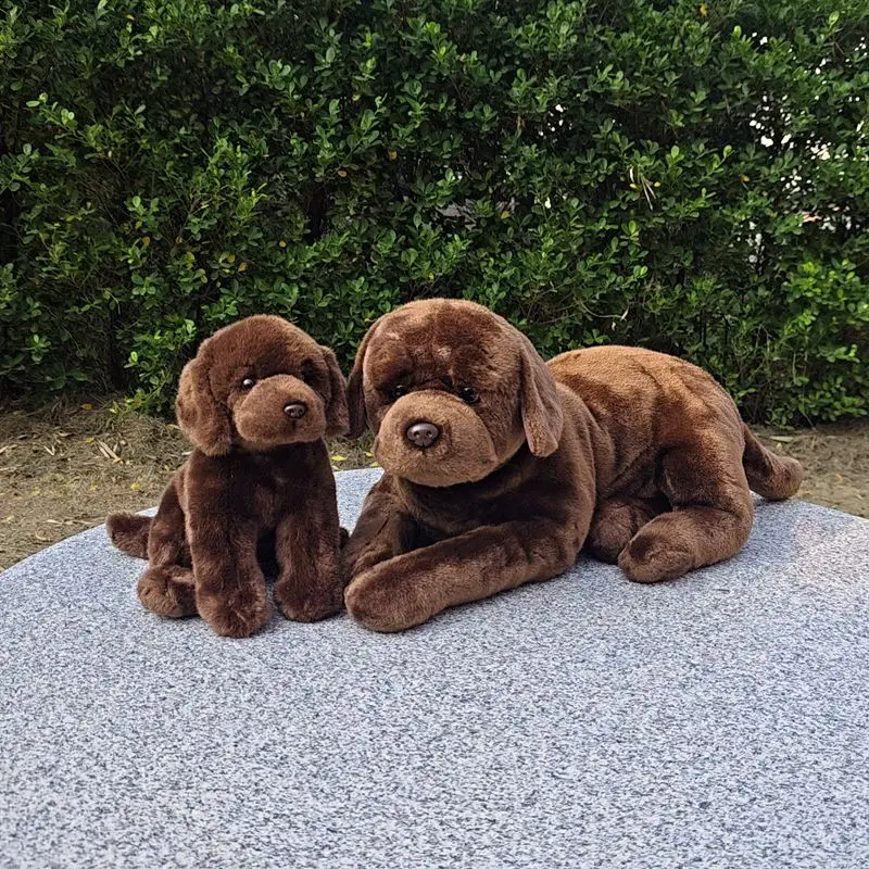 Simulated Labrador Figurines Brown Little Dog Plush Toy Traveling Dog Doll Lifelike Animals Simulation Doll Kawaii Toy Gifts
Simulated Labrador Figurines Brown Little Dog Plush Toy Traveling Dog Doll Lifelike Animals Simulation Doll Kawaii Toy Gifts