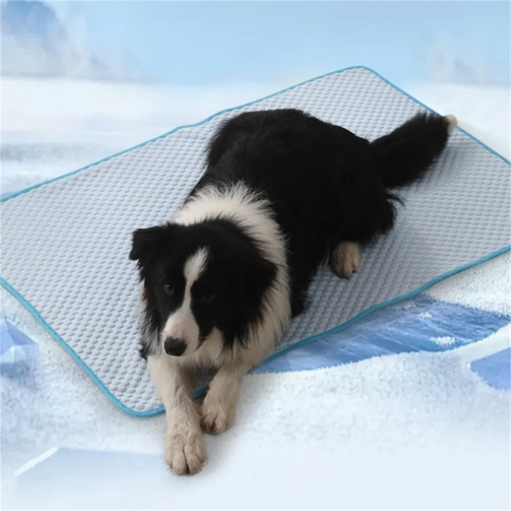 Pet Cooling Dog Mat Pad for Cat Puppy Small Medium Large Dog Breathable Moisture-proof Cushion Summer Cat Mats Pet Accessories
Pet Cooling Dog Mat Pad for Cat Puppy Small Medium Large Dog Breathable Moisture-proof Cushion Summer Cat Mats Pet Accessories