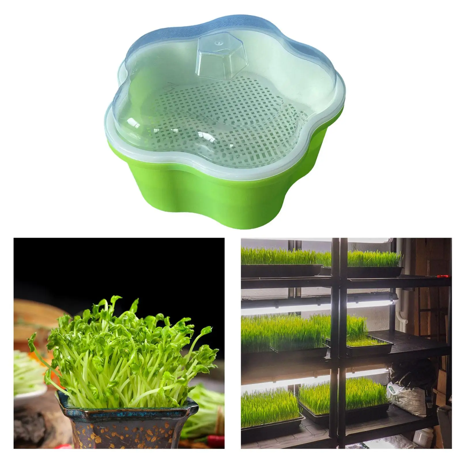 Seed Sprouter Tray with Lid Microgreens Growing Garden Plant Germination Wheatgrass Sprouter for Planting Bean Seedling Outdoors
Seed Sprouter Tray with Lid Microgreens Growing Garden Plant Germination Wheatgrass Sprouter for Planting Bean Seedling Outdoors