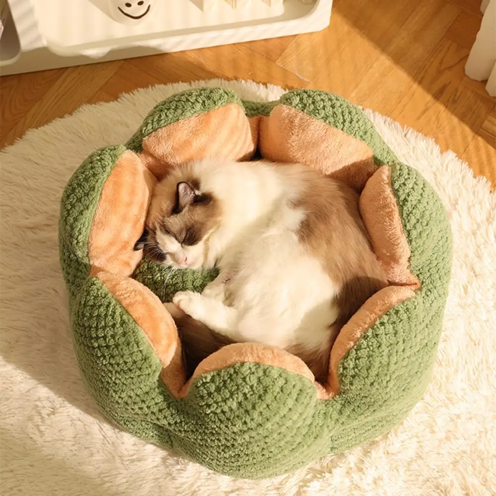 Cute Cat Beds Kitten Beds, Soft Small Dog Beds, Washable Pet Beds for Puppy and Kitty, Cactus Shape, 23 Inch
Cute Cat Beds Kitten Beds, Soft Small Dog Beds, Washable Pet Beds for Puppy and Kitty, Cactus Shape, 23 Inch