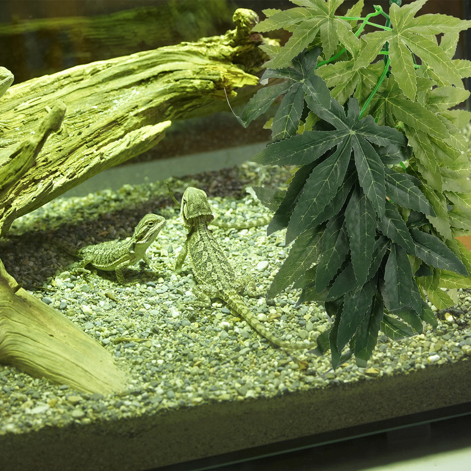 3pcs Pet Supply Simulation Plant Vines Natural Bending Gecko Climbing Vines Reptile Climbing Pet Decor Aquarium Tank Supply 
3pcs Pet Supply Simulation Plant Vines Natural Bending Gecko Climbing Vines Reptile Climbing Pet Decor Aquarium Tank Supply