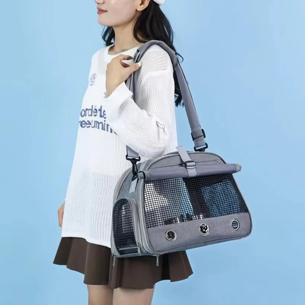 Durable Breathable Portable Parrot Travel Bag Comfortable with Tray Parrot Carrier Bag Large Capacity Bird Backpack Pet Supplies
Durable Breathable Portable Parrot Travel Bag Comfortable with Tray Parrot Carrier Bag Large Capacity Bird Backpack Pet Supplies