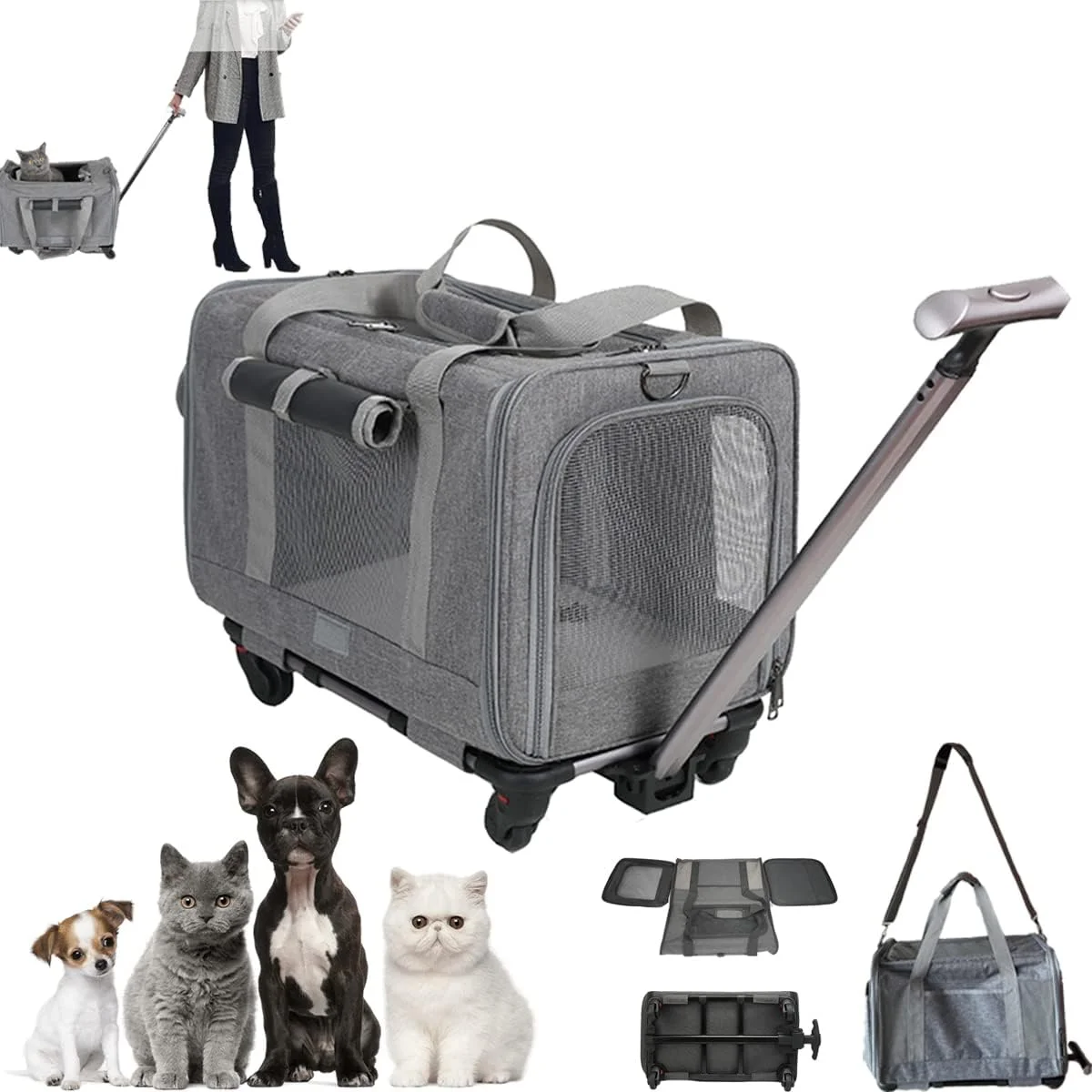 Large Space Pet Strap Removable Wheels Wheeled Cat and Puppy Rolling Tote Foldable Cart Pet Backpack
Large Space Pet Strap Removable Wheels Wheeled Cat and Puppy Rolling Tote Foldable Cart Pet Backpack