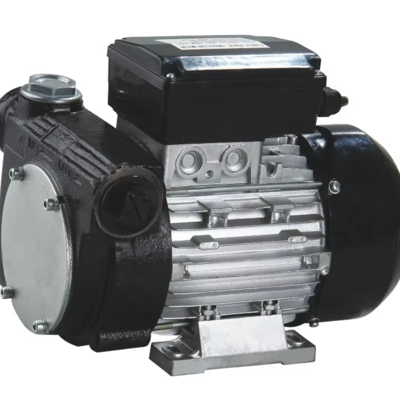 High quality oil electric pump
High quality oil electric pump