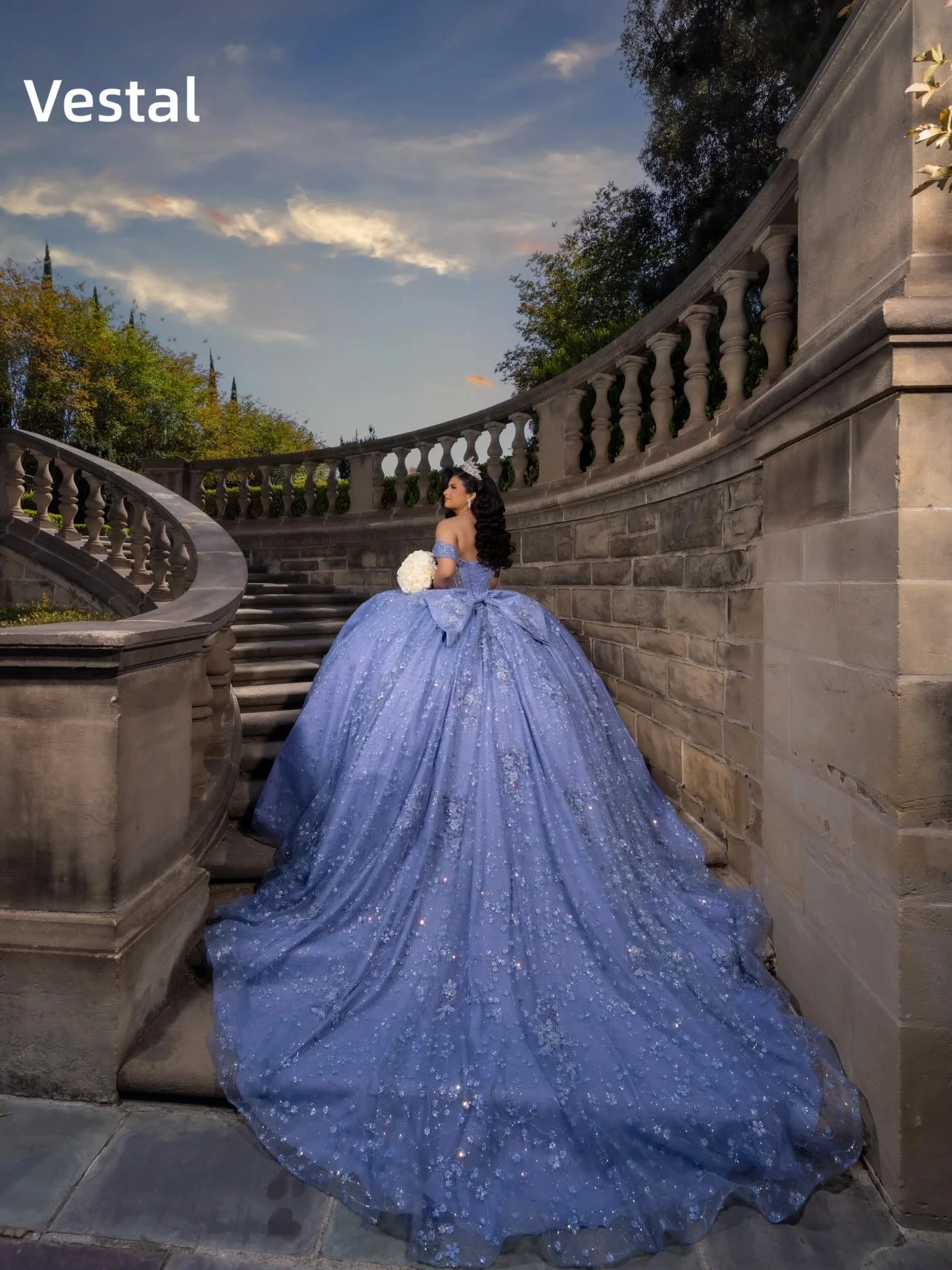 Blue Glitter 3D Floral Quinceanera Dress Off Shoulder Ball Gown for Sweet 16 Birthday 15 Anos Party Customized
Blue Glitter 3D Floral Quinceanera Dress Off Shoulder Ball Gown for Sweet 16 Birthday 15 Anos Party Customized