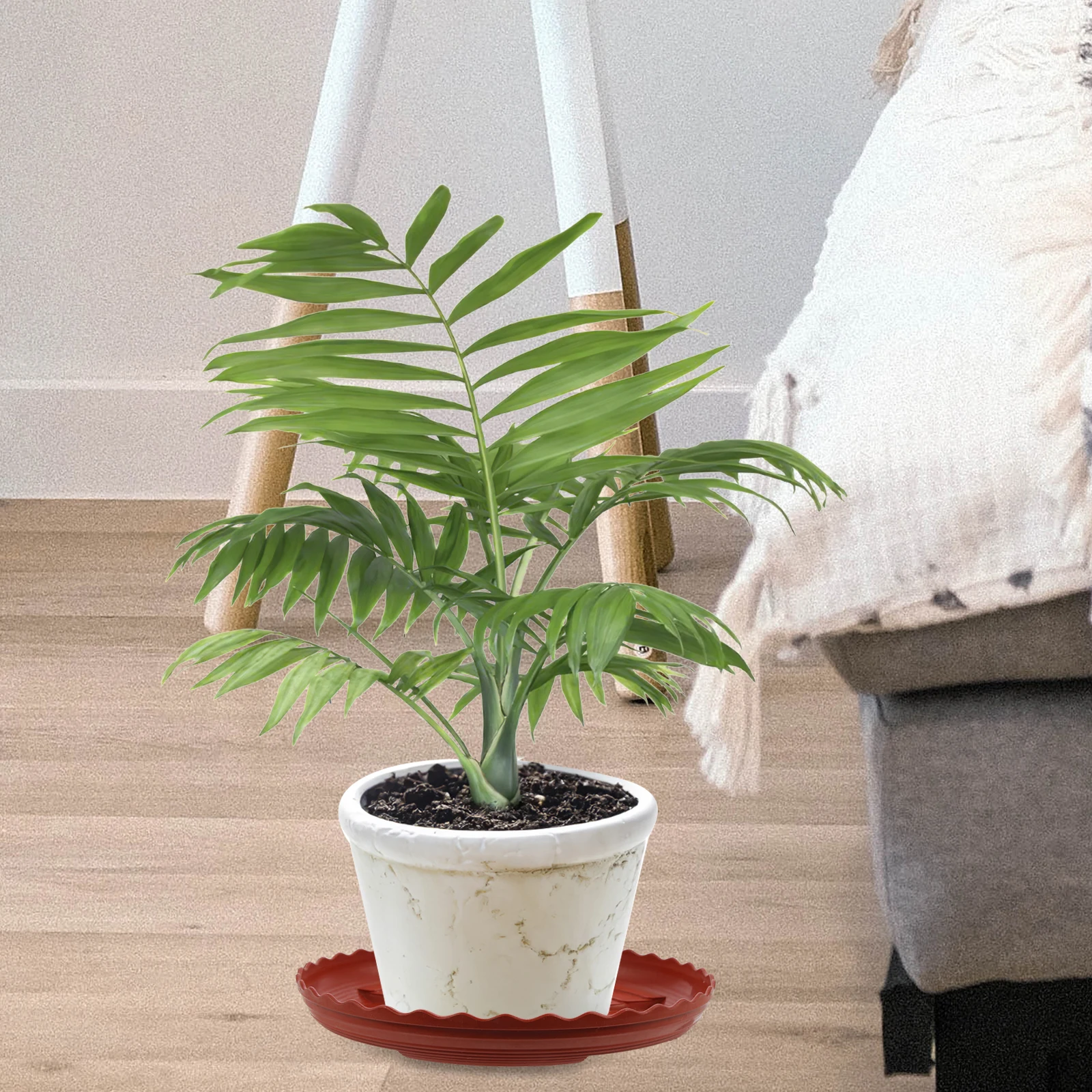 20pcs Plant Pot Saucers Premium Plastic Prevent Water Flow Flowerpot Tray Planter Plates Catch Water Gardening
20pcs Plant Pot Saucers Premium Plastic Prevent Water Flow Flowerpot Tray Planter Plates Catch Water Gardening