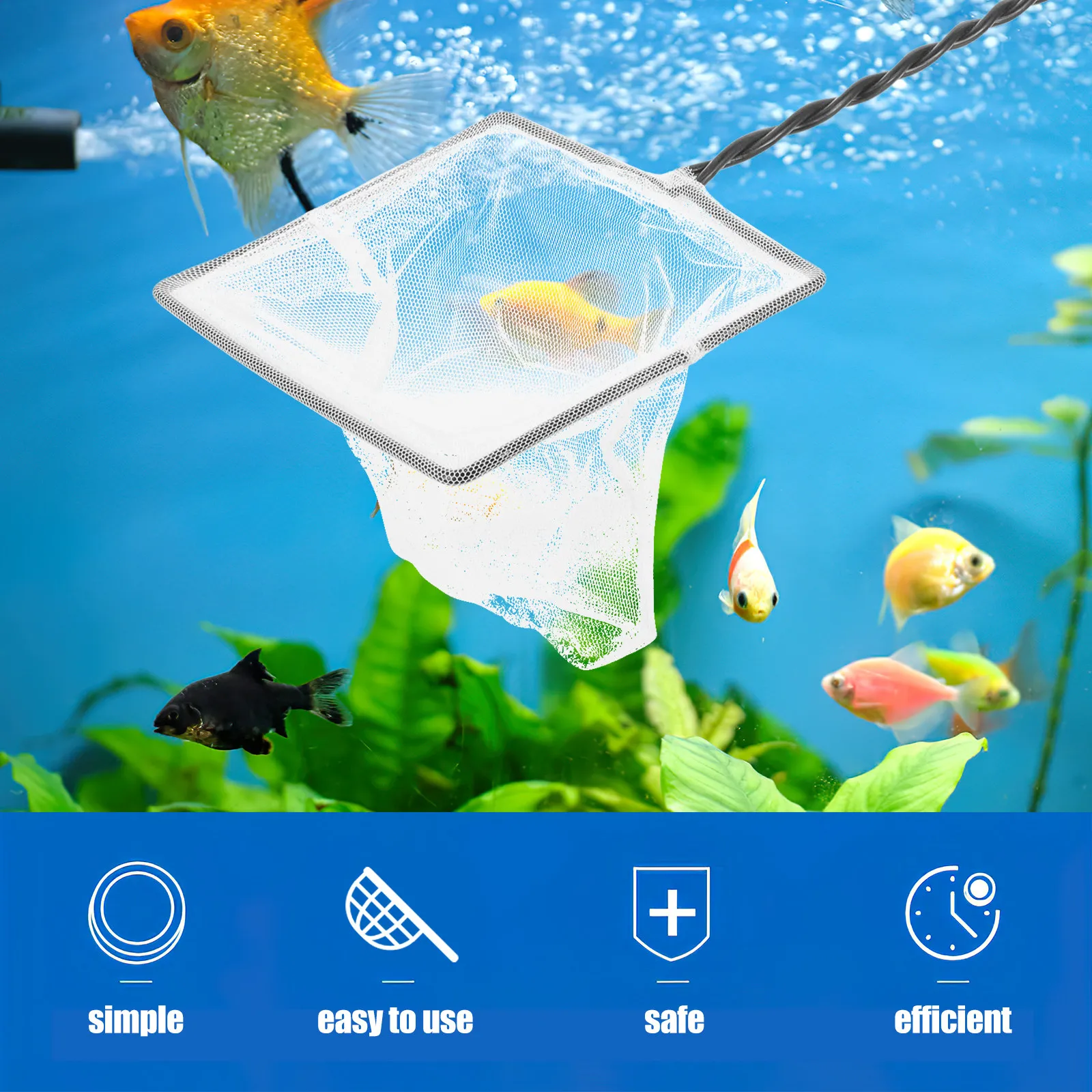 Aquarium Fishing Net Multi-Use Metal Fine Mesh Lightweight Portable Handheld Fish Net for Fishing Landing and Aquarium Shrimp
Aquarium Fishing Net Multi-Use Metal Fine Mesh Lightweight Portable Handheld Fish Net for Fishing Landing and Aquarium Shrimp