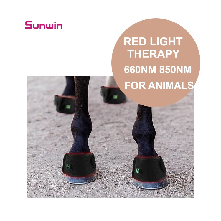 LED 660nm 850nm Infrared Red Light Therapy Belt Reusable For Dog Pet Equine Pain Relief
LED 660nm 850nm Infrared Red Light Therapy Belt Reusable For Dog Pet Equine Pain Relief