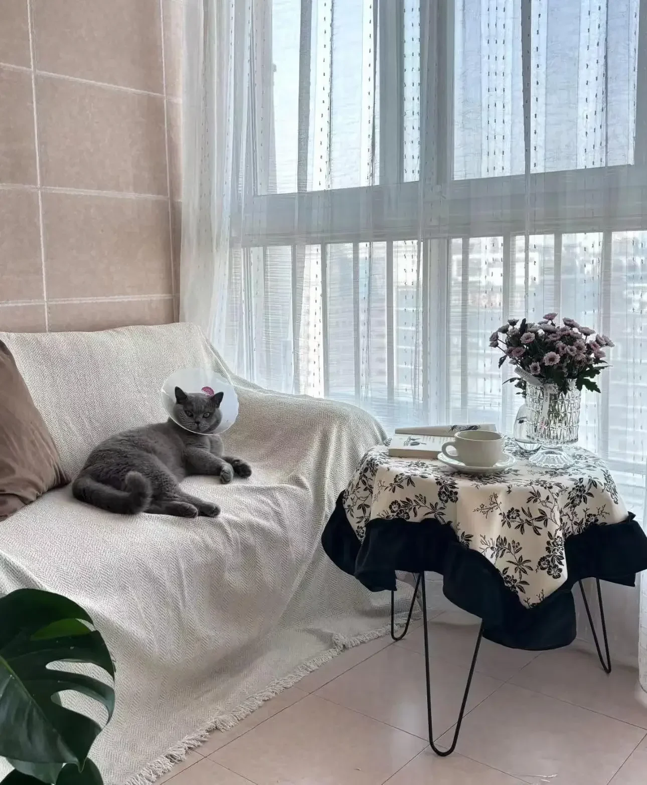 Soft Glass Tablecloth Transparent PVC Table Cloth Waterproof Oil Proof Kitchen Dining Rectangular Table Cover Matte Clear
Soft Glass Tablecloth Transparent PVC Table Cloth Waterproof Oil Proof Kitchen Dining Rectangular Table Cover Matte Clear