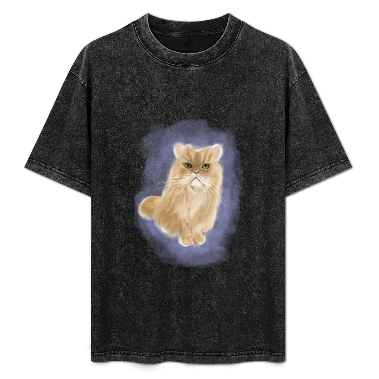 Cute Persian Cat Ginger T-Shirt Basic Casual Short Sleeve Cotton Shirt
Cute Persian Cat Ginger T-Shirt Basic Casual Short Sleeve Cotton Shirt