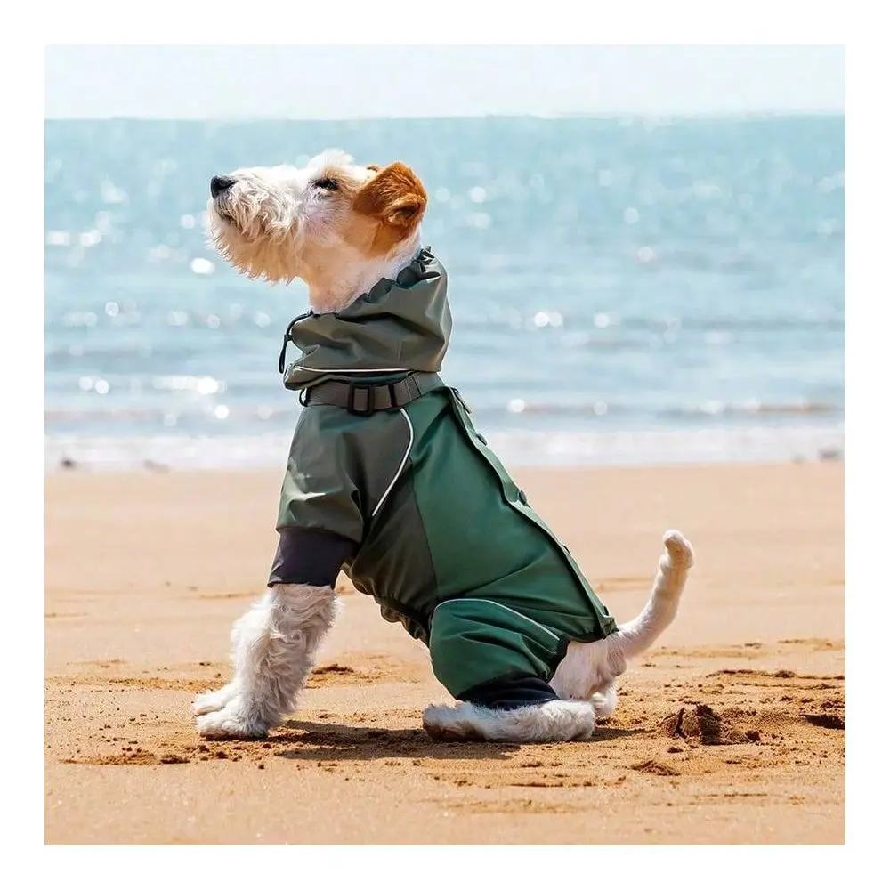 Quality Pet Raincoat, Reflective Adjustable Collar With Leash Hole, Suitable Medium Small Dogs, Waterproof Outdoor Walking Spor
Quality Pet Raincoat, Reflective Adjustable Collar With Leash Hole, Suitable Medium Small Dogs, Waterproof Outdoor Walking Spor