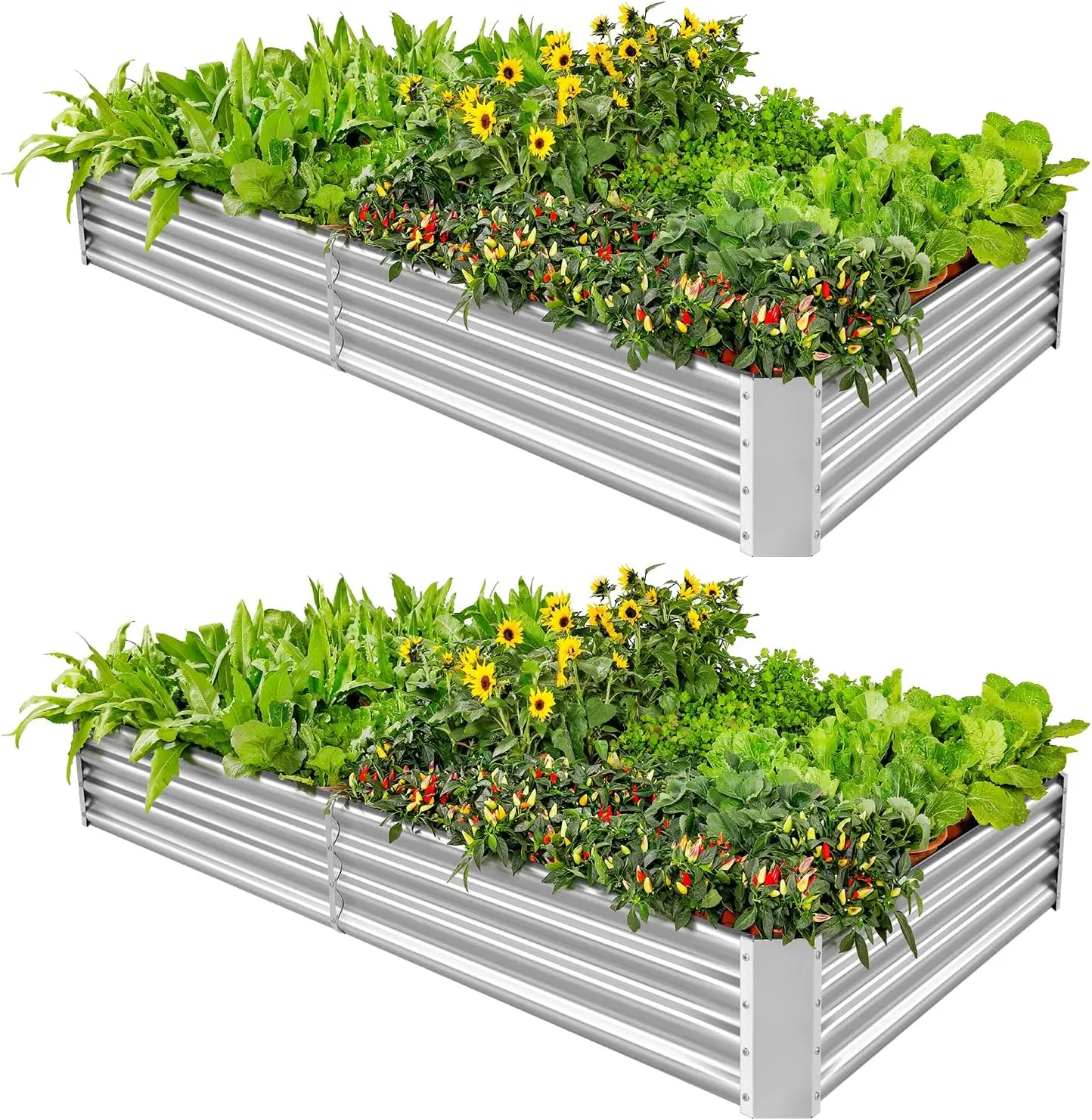 2-Pack 6x3x1ft Galvanized Metal Raised Garden Bed for Deep-Rooted Vegetables and Flowers
2-Pack 6x3x1ft Galvanized Metal Raised Garden Bed for Deep-Rooted Vegetables and Flowers