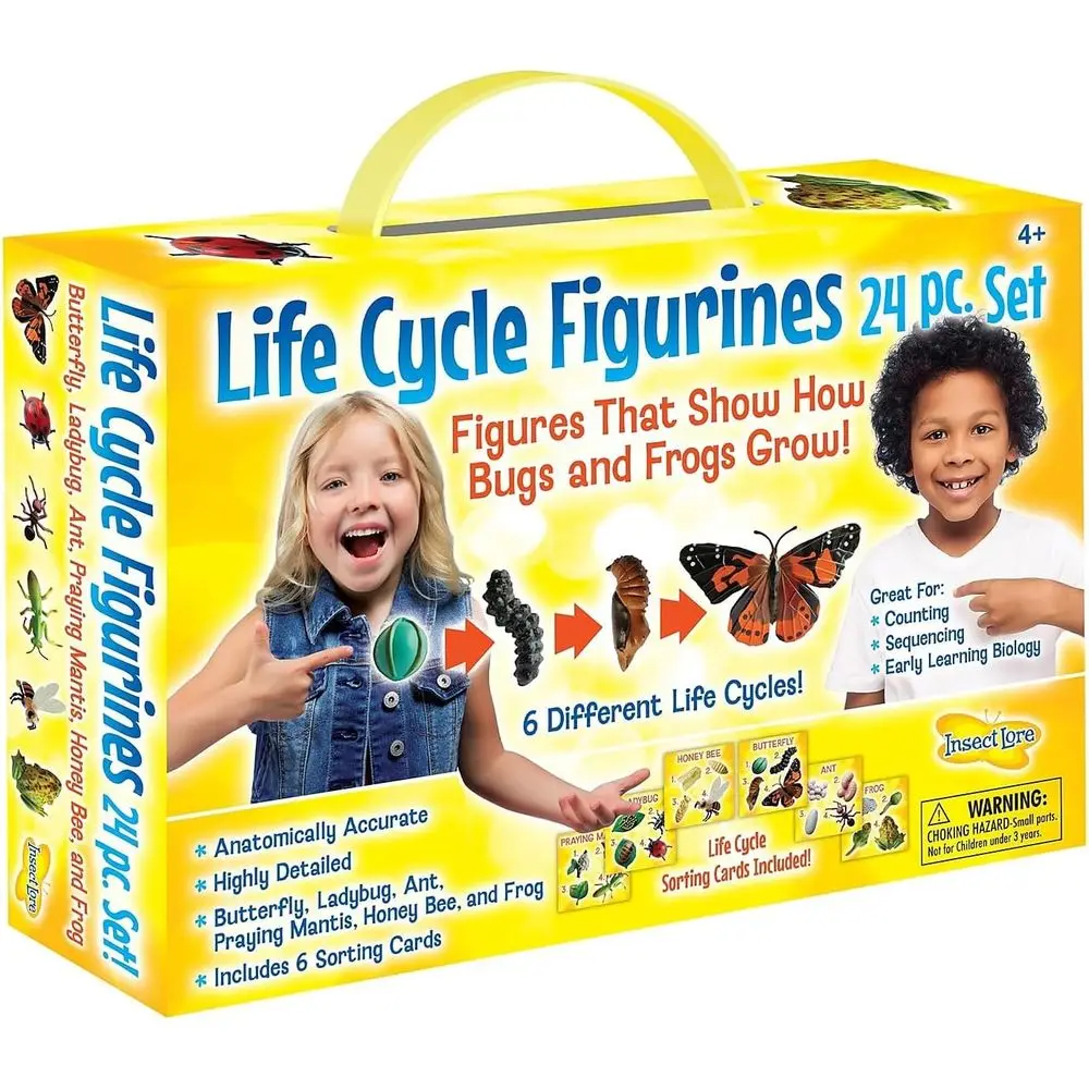 24-Piece Life Cycle Figurine Set: Ladybug, Dragonfly, Ant, and Praying Mantis, 4 Stages Each
24-Piece Life Cycle Figurine Set: Ladybug, Dragonfly, Ant, and Praying Mantis, 4 Stages Each