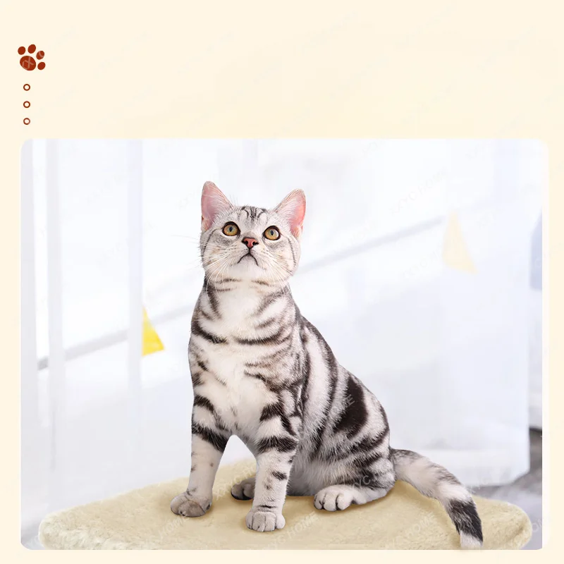 Cat Scratching Board Sisal Cat Scratching Post Vertical Claw Grinder Protective Sofa Anti-Cat Scratching Ball Kitten Supplies
Cat Scratching Board Sisal Cat Scratching Post Vertical Claw Grinder Protective Sofa Anti-Cat Scratching Ball Kitten Supplies