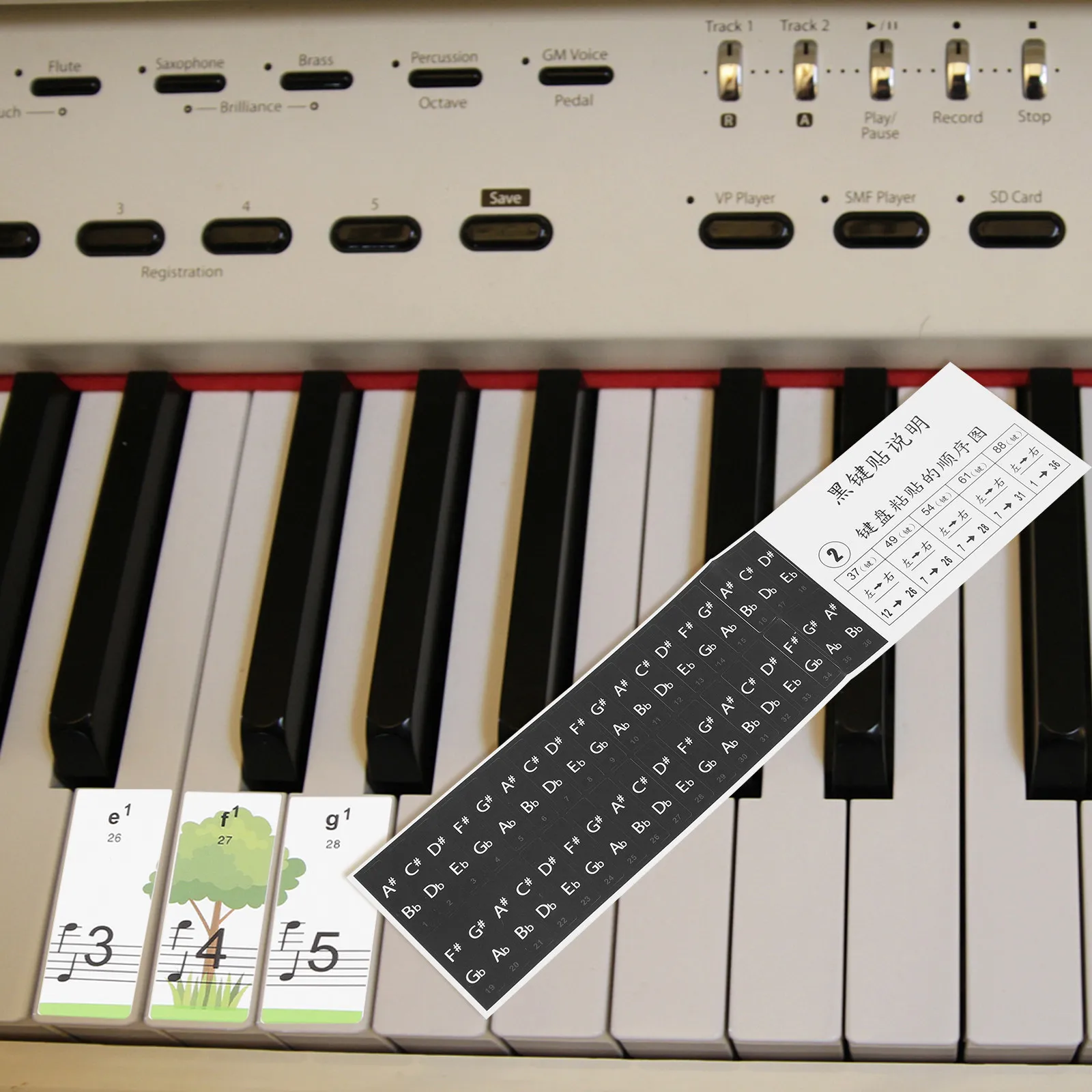 1Pack Premium Waterproof Piano Keyboard Sticker Introductory Beginner Decal Easy Peel Off No Residue Anti Sweat Wear Resistant
1Pack Premium Waterproof Piano Keyboard Sticker Introductory Beginner Decal Easy Peel Off No Residue Anti Sweat Wear Resistant