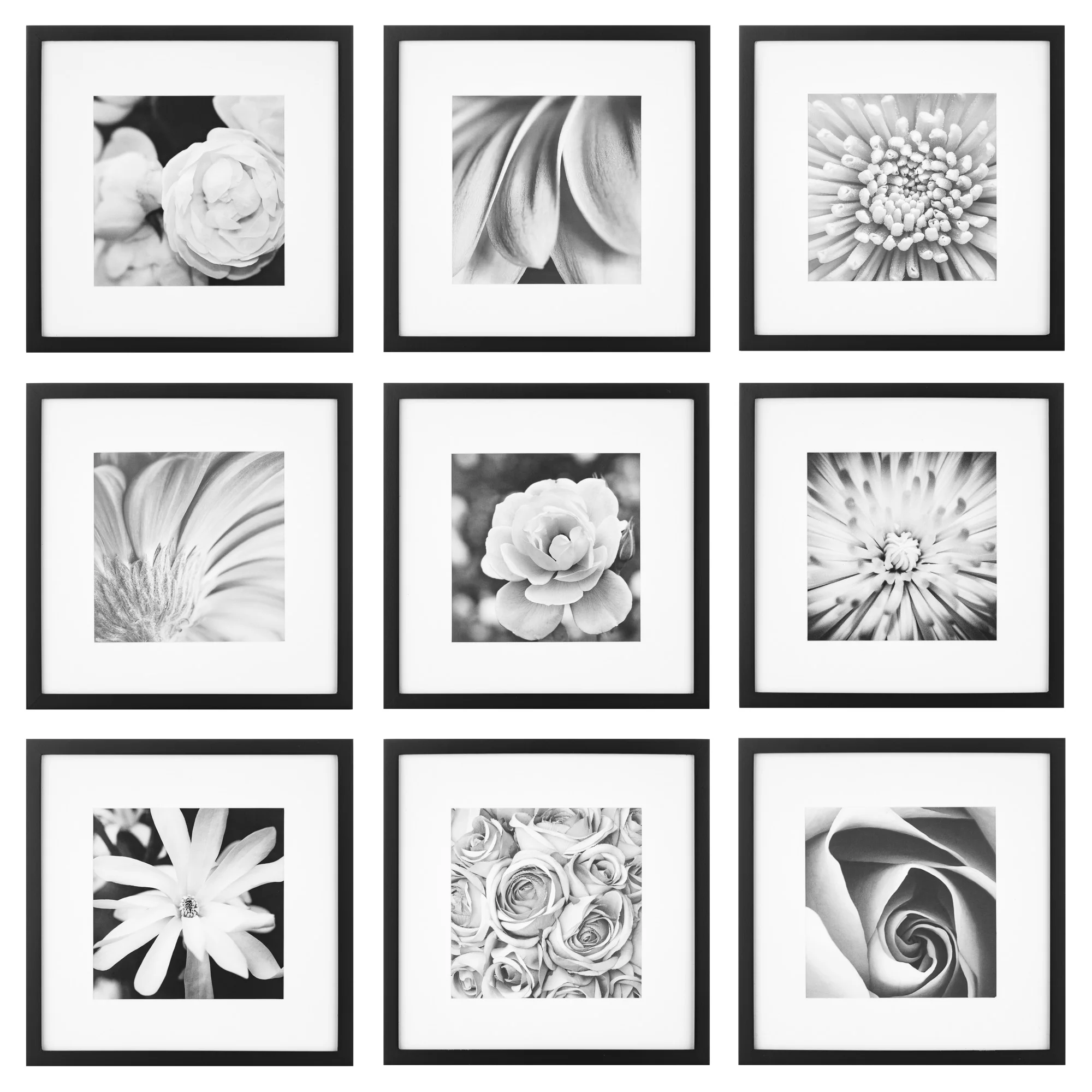9-Piece Gallery Wall Frame Set for 8x8 or 12x12 Photos – Black Finish
9-Piece Gallery Wall Frame Set for 8x8 or 12x12 Photos – Black Finish