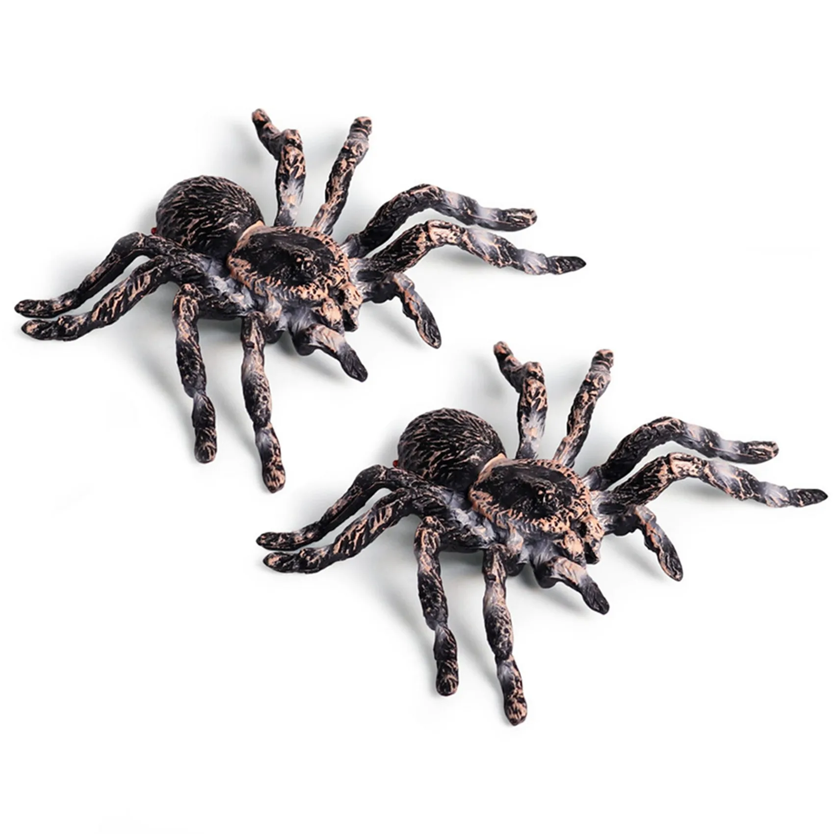 ODIES-6Pcs 9.5Cm Large Fake Realistic Spider Insect Model Fun Halloween Scary Prop
ODIES-6Pcs 9.5Cm Large Fake Realistic Spider Insect Model Fun Halloween Scary Prop