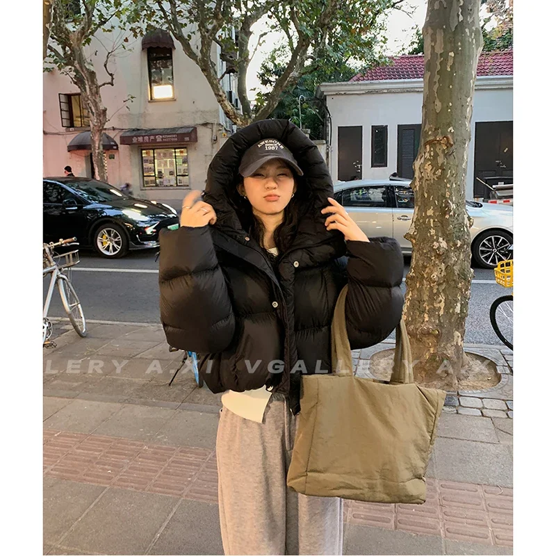 Short Hooded Down Jacket for Women, Korean Fashion, Thick Warm Parkas, Loose White Duck, Pink Outwear, Winter Coat, 2022
Short Hooded Down Jacket for Women, Korean Fashion, Thick Warm Parkas, Loose White Duck, Pink Outwear, Winter Coat, 2022