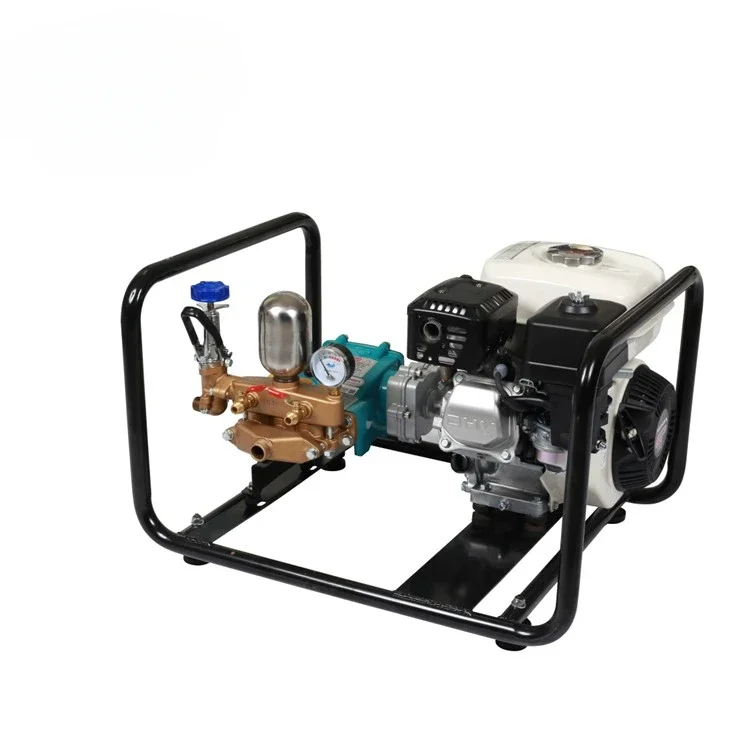 Professional engine agricultural garden sprayer
Professional engine agricultural garden sprayer