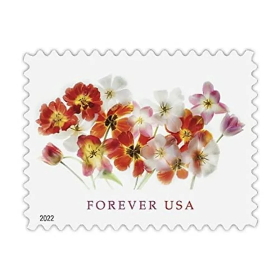 USPS Tulips Sheet of 20 Postage Forever Stamps Beauty Flowers Garden Love 2022 Scott #5681
USPS Tulips Sheet of 20 Postage Forever Stamps Beauty Flowers Garden Love 2022 Scott #5681