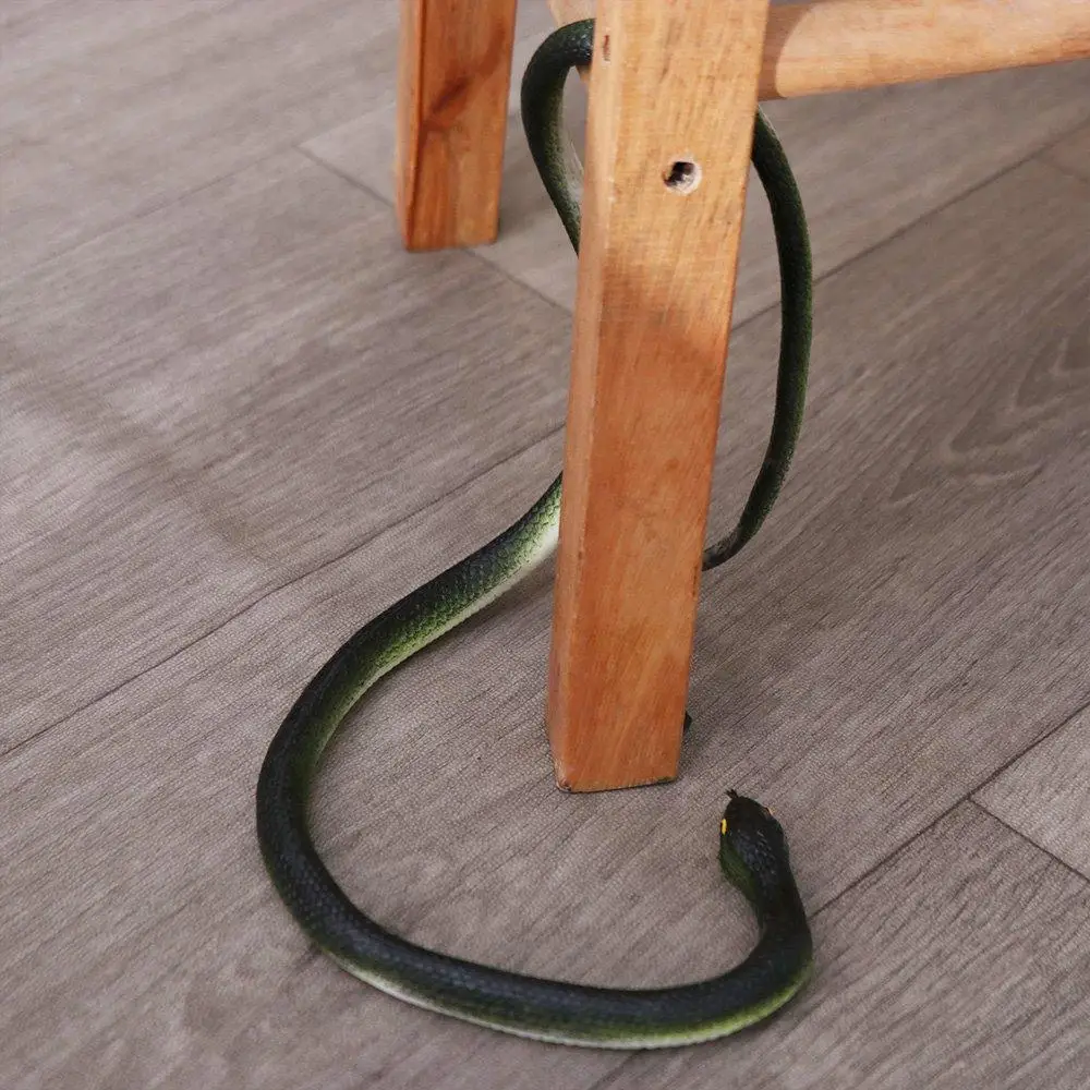 Anaconda Props Simulation Snake Snake Prank Large Funny Gift Fake Snake Model with String Clip Realistic Rubber Snake Halloween
Anaconda Props Simulation Snake Snake Prank Large Funny Gift Fake Snake Model with String Clip Realistic Rubber Snake Halloween