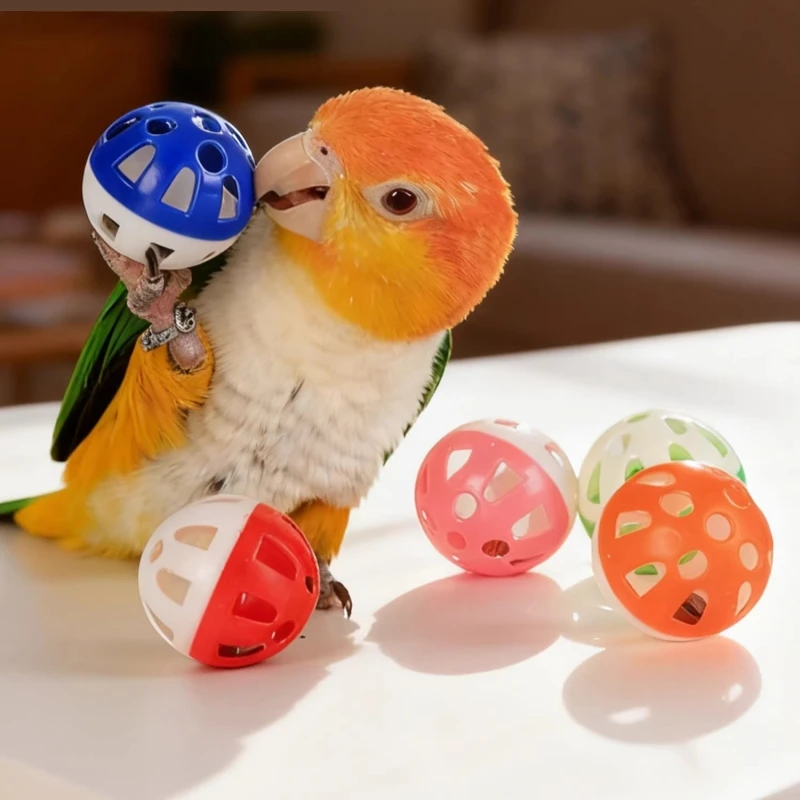10 pieces of pet parrot toys with colorful hole balls, plastic hollow rolling balls with bells inside, long-tailed parrots gnawi
10 pieces of pet parrot toys with colorful hole balls, plastic hollow rolling balls with bells inside, long-tailed parrots gnawi