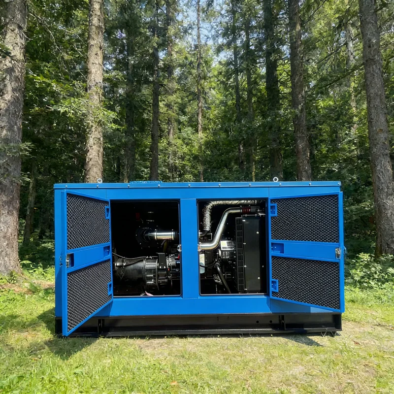 Customized 150kva with Cummins diesel Generator Set Auto Start 150 Kva 120/240V Electric Power Generator 120kw
Customized 150kva with Cummins diesel Generator Set Auto Start 150 Kva 120/240V Electric Power Generator 120kw