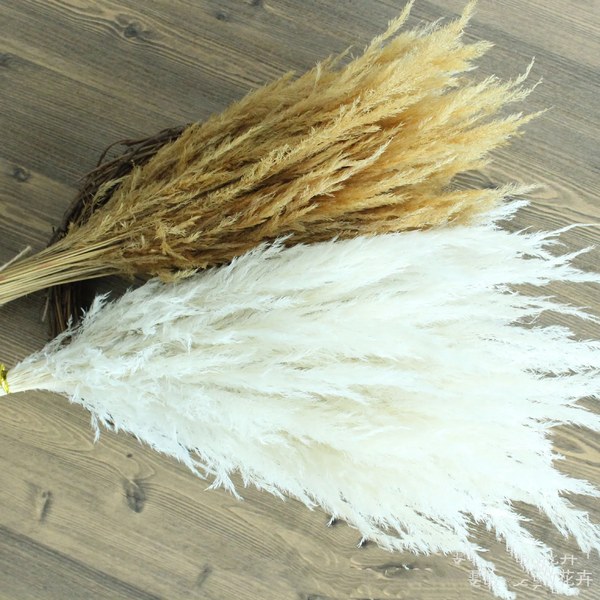 5pcs/lot Dried Flowers Reed Grass Natural Small Pampas Bud Dry Bouquet Wholesale Small Dust Home Decoration Shooting Props
5pcs/lot Dried Flowers Reed Grass Natural Small Pampas Bud Dry Bouquet Wholesale Small Dust Home Decoration Shooting Props