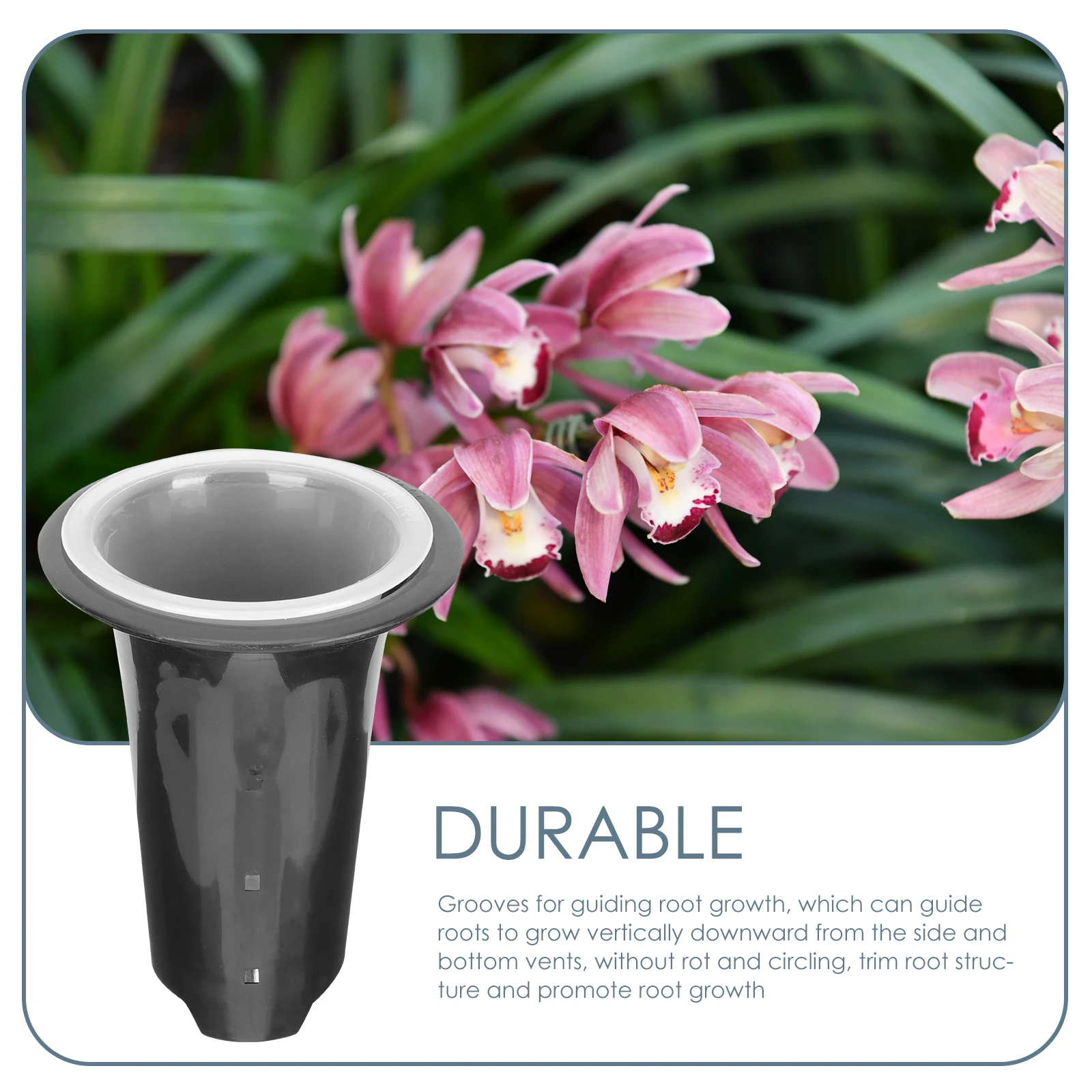 2 Sets chid Pots Breathable Flower Planters PP Cups Durable Plastic Root Control Indoor Nursery Pots Office Balcony Coffee Shop 
2 Sets chid Pots Breathable Flower Planters PP Cups Durable Plastic Root Control Indoor Nursery Pots Office Balcony Coffee Shop