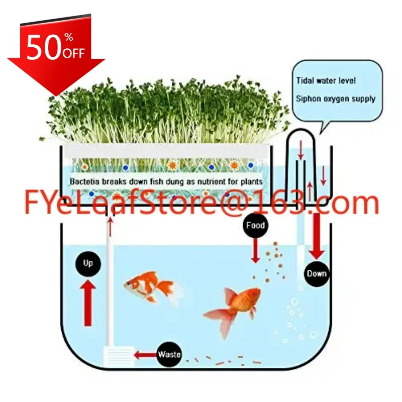 Небольшой дом, умная гидропоника для выращивания растений, гидропонный сад, аквариум, системы выращивания растений
Небольшой дом, умная гидропоника для выращивания растений, гидропонный сад, аквариум, системы выращивания растений