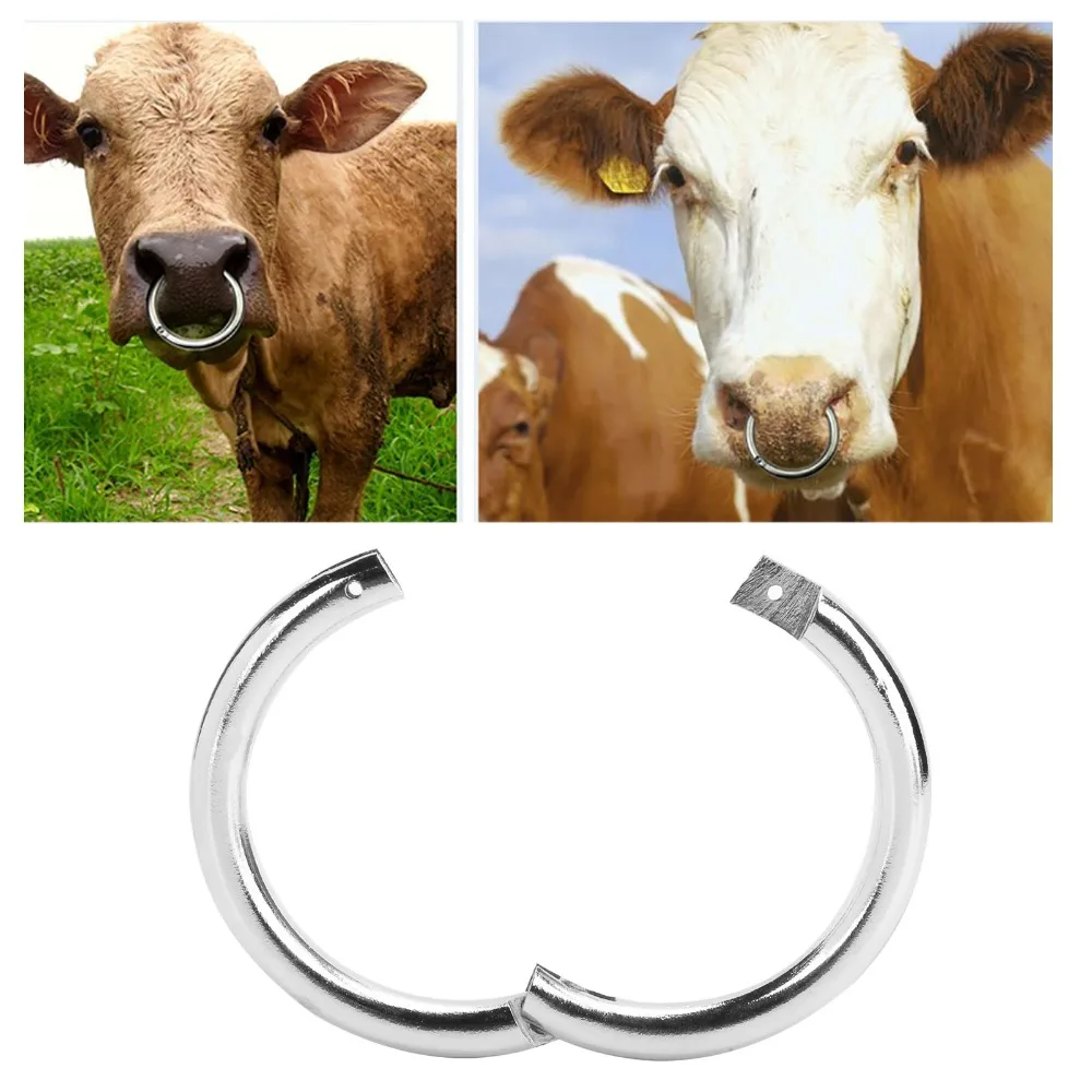 Easy To Use Carbon Steel Bull Nose Ring Silver Durable Cow Nose Ring Cattle Nose Ring Cattle
Easy To Use Carbon Steel Bull Nose Ring Silver Durable Cow Nose Ring Cattle Nose Ring Cattle