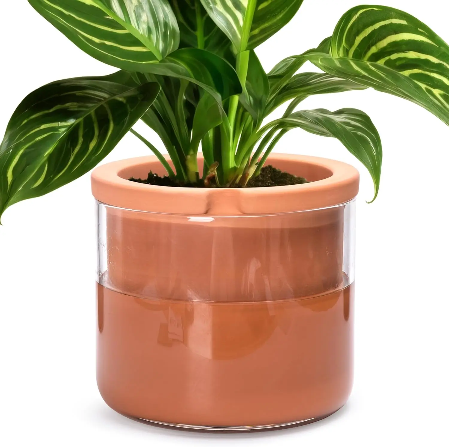 8" Self-Watering Planter Pot, White Terracotta with Glass Vase, Indoor Use
8" Self-Watering Planter Pot, White Terracotta with Glass Vase, Indoor Use