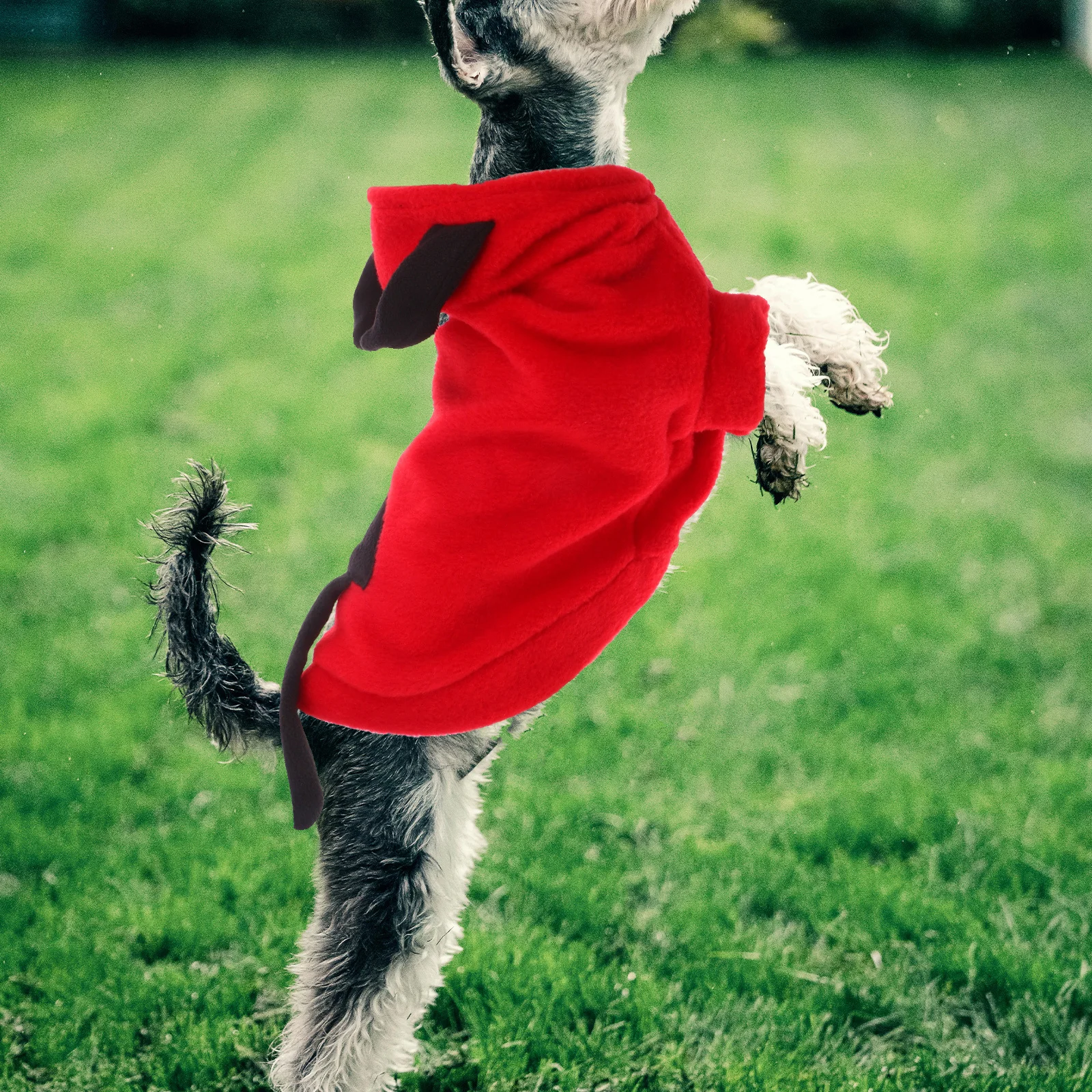 Devil Pet Party Clothes Costume For Dogs 3D Warm Coat Halloween Party Outdoor Wear Small Dog Jacket Pet Clothes
Devil Pet Party Clothes Costume For Dogs 3D Warm Coat Halloween Party Outdoor Wear Small Dog Jacket Pet Clothes