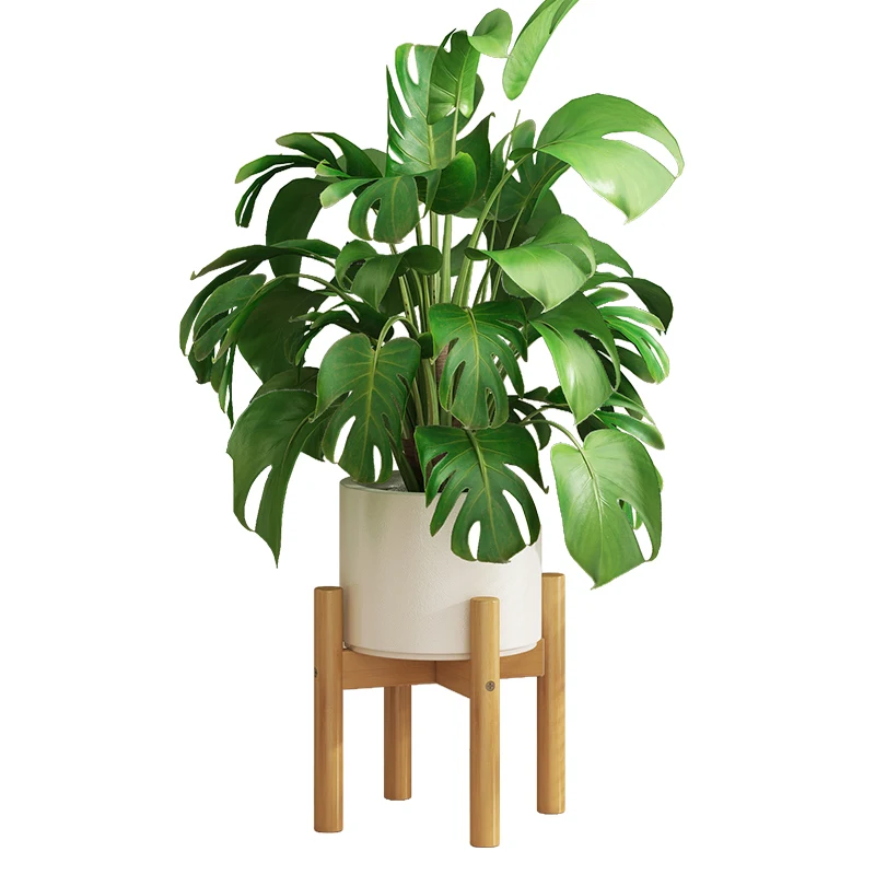 Modern Floor Plant Stand Compact Display Shelf for Living Room Balcony Pothos Succulents
Modern Floor Plant Stand Compact Display Shelf for Living Room Balcony Pothos Succulents