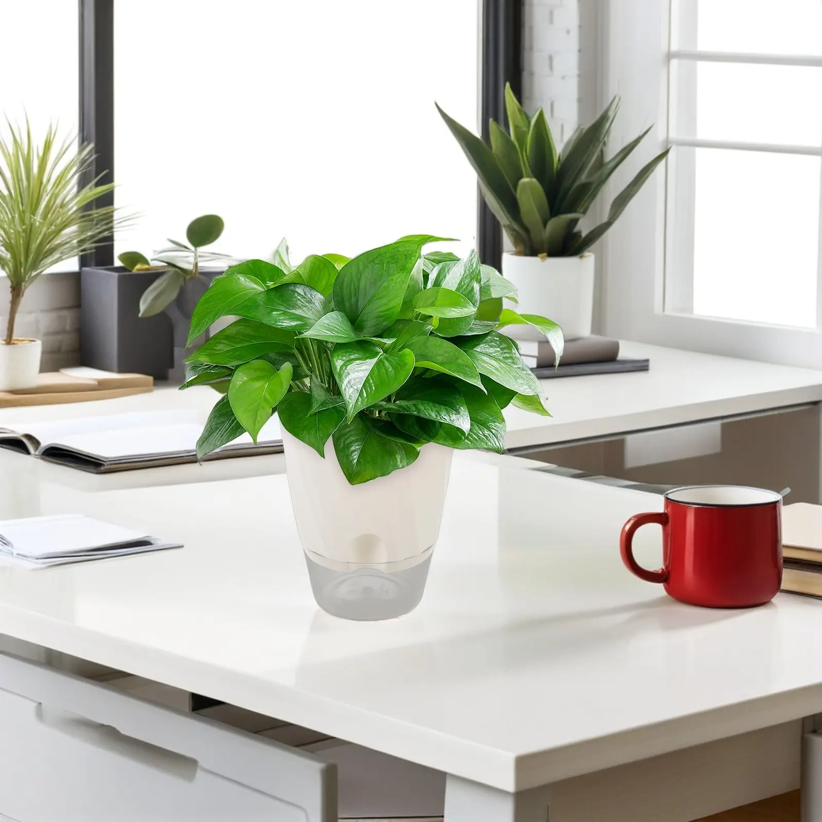 3Pcs Transparent Self Watering Flower Pots Plastic Automatic Water Absorbing Indoor Planters for Pothos Orchid Herb Gardening
3Pcs Transparent Self Watering Flower Pots Plastic Automatic Water Absorbing Indoor Planters for Pothos Orchid Herb Gardening