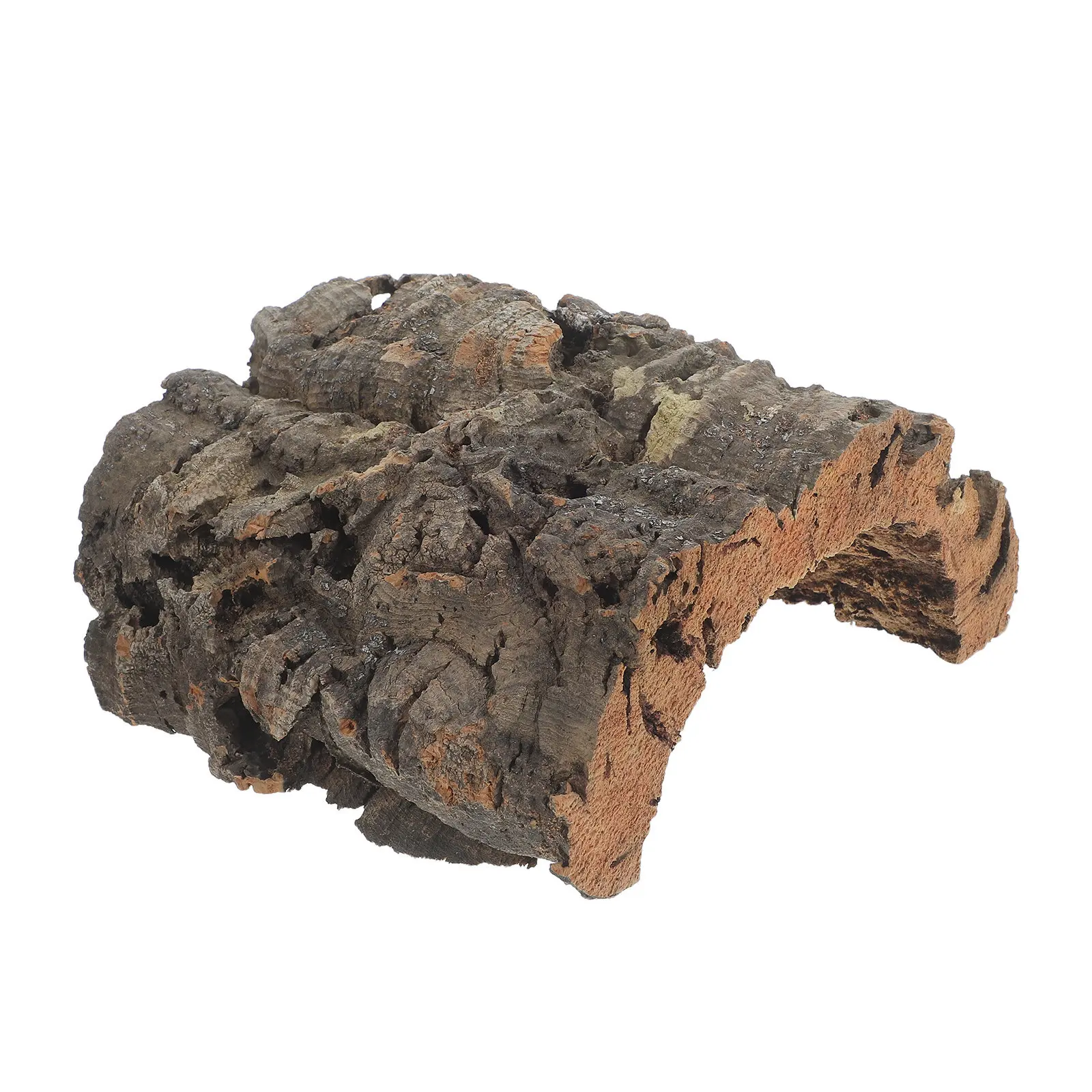 Terrarium Bark Background for Reptile Decorative Decorations Log Tank Portuguese Hide Fish Hideout Cave
Terrarium Bark Background for Reptile Decorative Decorations Log Tank Portuguese Hide Fish Hideout Cave