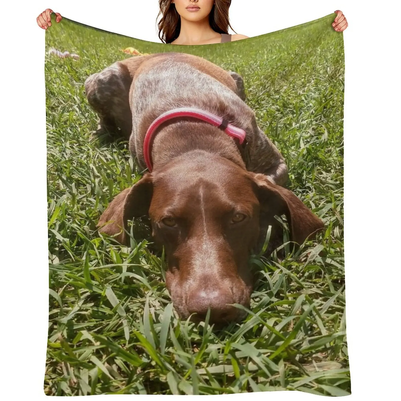 Summer Days with a Sharp-eyed Companion: A German Shorthair Pointer on the Hunt Throw Blanket Thermals For Travel Sofa Blankets
Summer Days with a Sharp-eyed Companion: A German Shorthair Pointer on the Hunt Throw Blanket Thermals For Travel Sofa Blankets