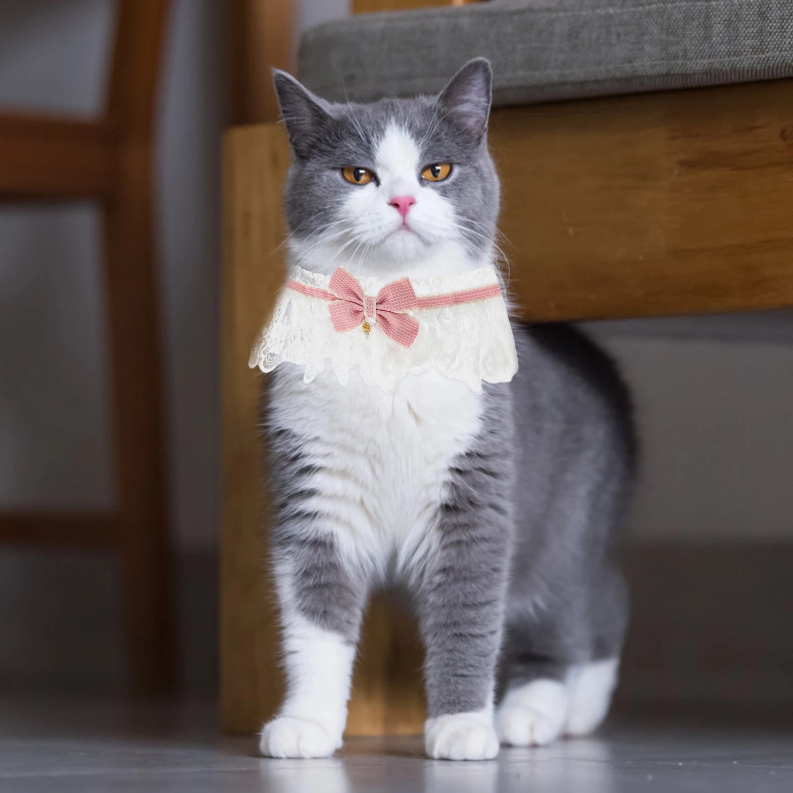 Bow Dog Kitten Wear-Resistant Puppy Collar Collars Kitten Collar Decorative Lace Pet Supply Wear Resistant Outdoor Photos
Bow Dog Kitten Wear-Resistant Puppy Collar Collars Kitten Collar Decorative Lace Pet Supply Wear Resistant Outdoor Photos