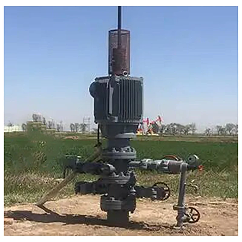 Vertical Drive for Progressive Cavity Pump Driving Head for Sand Heavy Oil Oilfield Surface Equipment Custom Unit for PCP Pump
Vertical Drive for Progressive Cavity Pump Driving Head for Sand Heavy Oil Oilfield Surface Equipment Custom Unit for PCP Pump