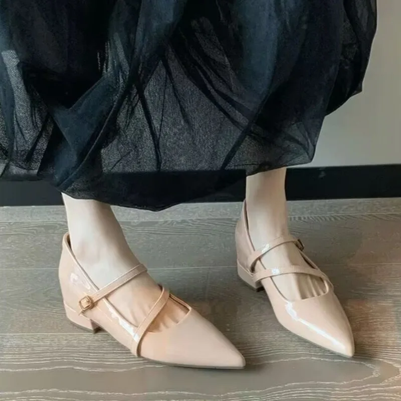 Retro Style Pointed tip Head Double Row Buckle Slip-On Women's Comfortable Shoes Fashionable Low Heel
Retro Style Pointed tip Head Double Row Buckle Slip-On Women's Comfortable Shoes Fashionable Low Heel