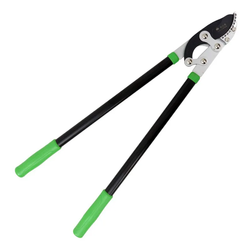 Садовые толстые ветки, энергично обрезка, обрезка садовых инструментов
Садовые толстые ветки, энергично обрезка, обрезка садовых инструментов